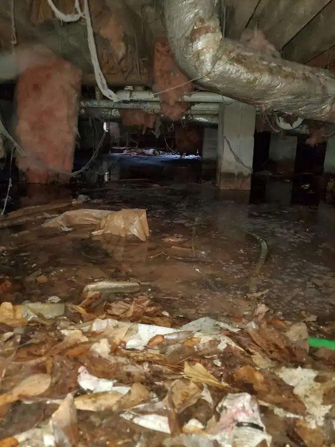 Crawl space flood assessment for Leak Detection & Repair in Bloomsburg