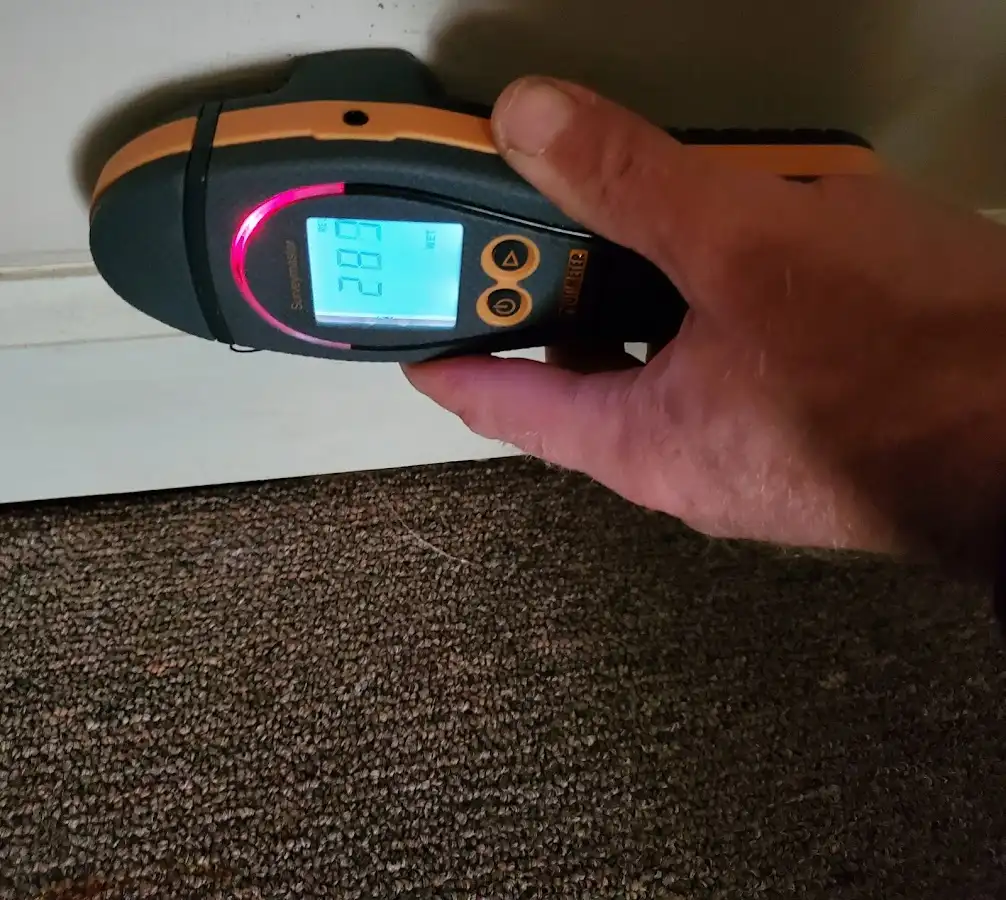 Moisture detection at baseboard during Mold Inspection & Testing in Bloomsburg
